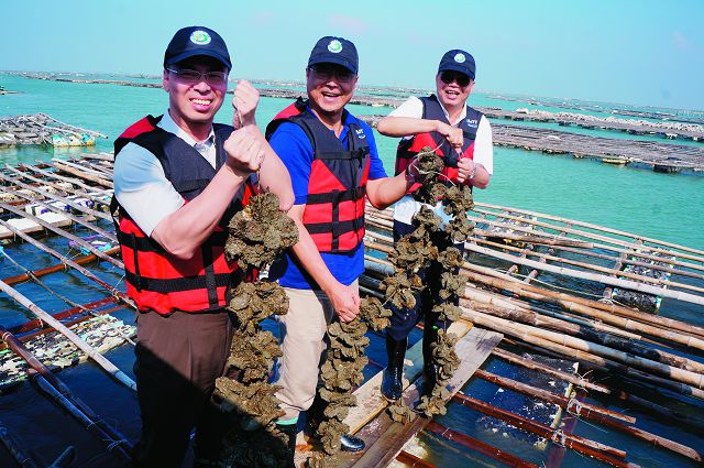 陳威仁部長(右)、曾大仁署長(中)、呂登元處長(左)體驗採蚵作業